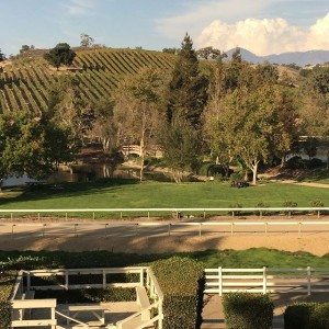 beautiful scenic wine tours